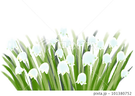 スノーフレークの花カード 101380752