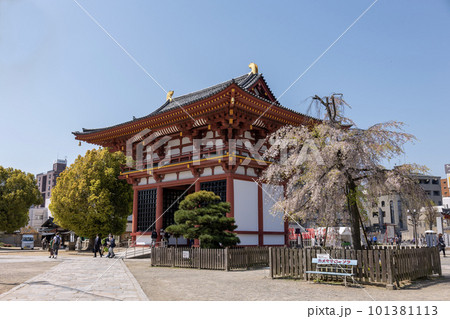 大阪・四天王寺の極楽門<西大門>(2023年4月4日撮影) 大阪・四天王寺の極楽門<西大門>(2023年4月4日撮影) 101381113