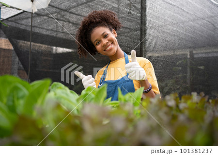Portrait of happy half Thai half African woman farmer standing behind vegetable plot in her backyard. Concept of agriculture organic for health, Vegan food and Small business. 101381237
