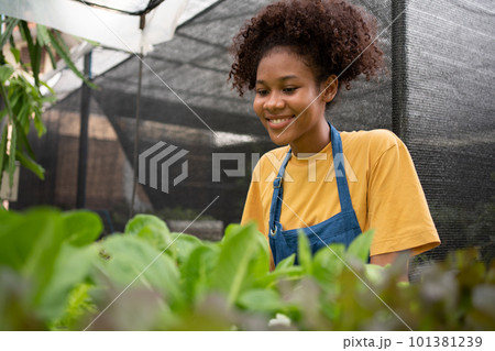 Portrait of happy half Thai half African woman farmer standing behind vegetable plot in her backyard. Concept of agriculture organic for health, Vegan food and Small business. Portrait of happy half Thai half African woman farmer standing behind vegetable plot in her backyard. Concept of agriculture organic for health, Vegan food and Small business. 101381239