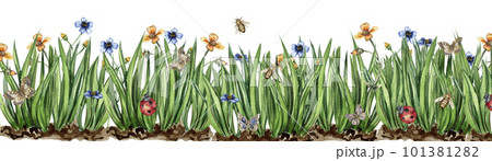 Watercolor horizontal seamless background with grass, insects and flowers. Butterflies in cartoon style. Hand rawn illustration of spring. Perfect for scrapbooking, kids design, wedding invitation. 101381282