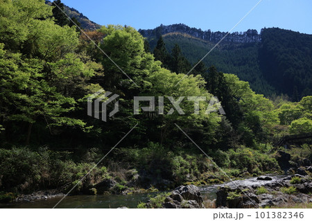 新緑に映える渓谷 101382346