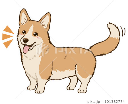喜ぶコーギー（レッド＆ホワイト） 101382774