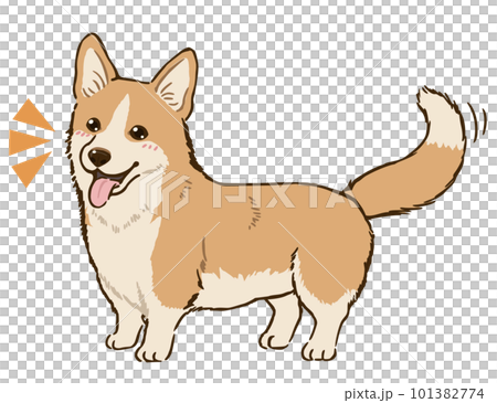 喜ぶコーギー（レッド＆ホワイト） 101382774