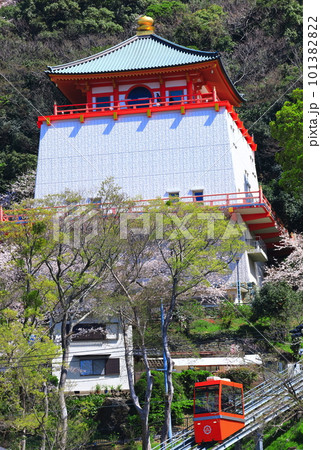 【和歌山県】満開の桜と紀三井寺(仏殿) 【和歌山県】満開の桜と紀三井寺(仏殿) 101382822