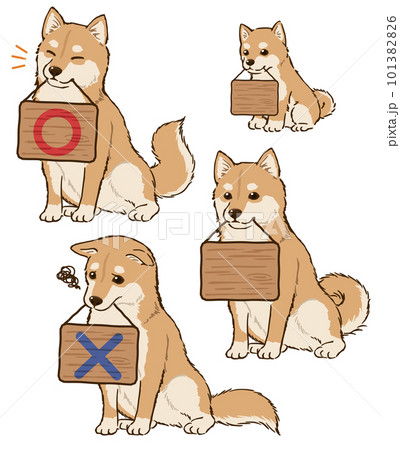 看板をくわえる柴犬セット（茶柴） 101382826