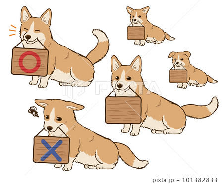 看板をくわえるコーギー（レッド＆ホワイト） 101382833