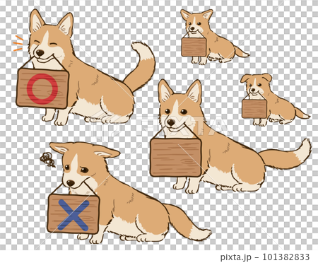 看板をくわえるコーギー（レッド＆ホワイト） 101382833