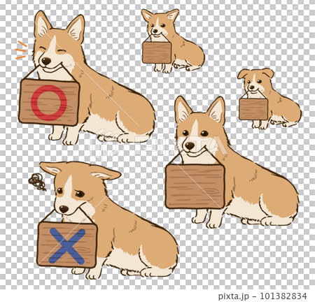 Corgi with sign (docked tail, red & white) Corgi with sign (docked tail, red & white) 101382834