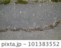 ひび割れたアスファルトの道路 101383552