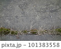 ひび割れたアスファルトの道路 101383558
