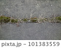 ひび割れたアスファルトの道路 101383559