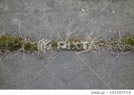 ひび割れたアスファルトの道路 101383559