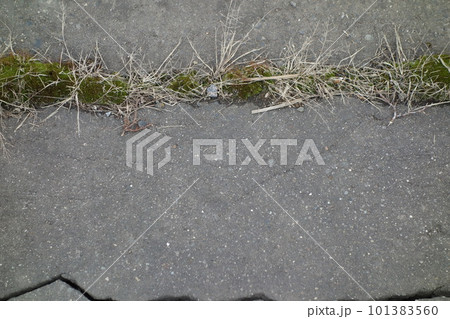 ひび割れたアスファルトの道路 101383560
