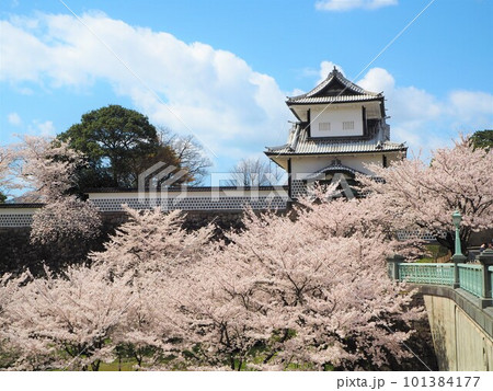 金沢城石川門と桜の絶景 101384177