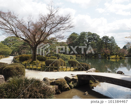 日本の三名園のひとつ、兼六園の風景 日本の三名園のひとつ、兼六園の風景 101384467