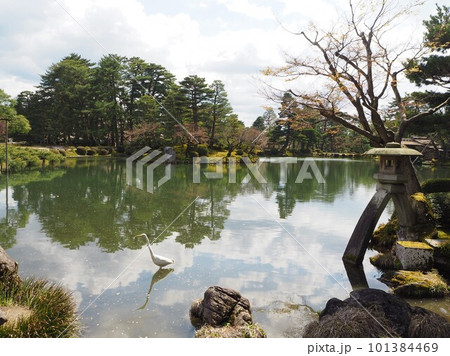 日本の三名園のひとつ、兼六園の風景 101384469