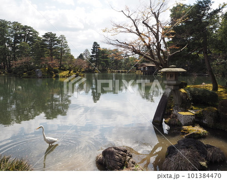 日本の三名園のひとつ、兼六園の風景 日本の三名園のひとつ、兼六園の風景 101384470