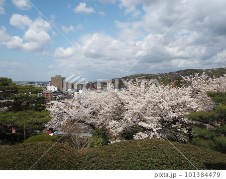 日本の三名園のひとつ、兼六園の風景 101384479