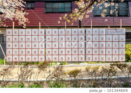 世田谷区長、世田谷区議会議員選挙ポスター掲示場 101384609