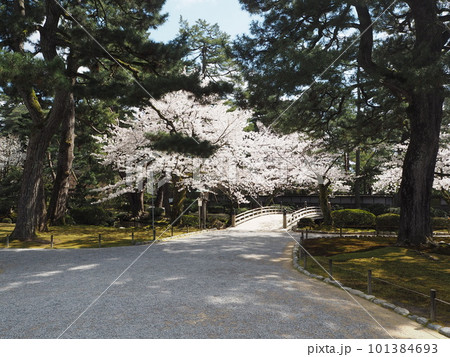日本三名園のひとつ、兼六園の風景 日本三名園のひとつ、兼六園の風景 101384693