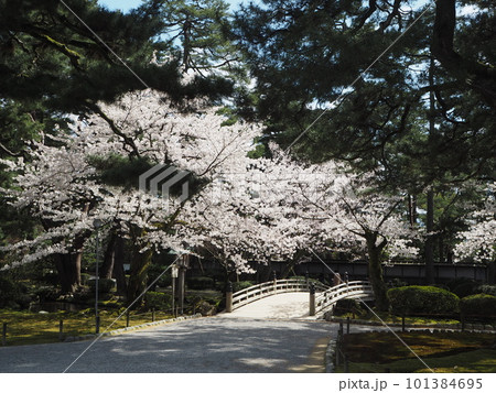 日本三名園のひとつ、兼六園の風景 日本三名園のひとつ、兼六園の風景 101384695