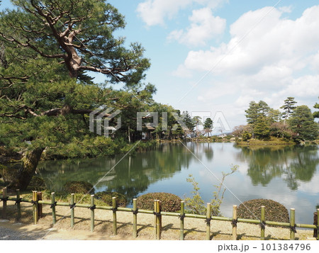 日本三名園のひとつ、兼六園の春の風景 101384796