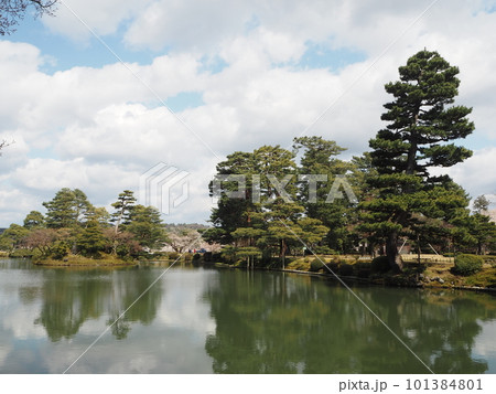 日本三名園のひとつ、兼六園の春の風景 日本三名園のひとつ、兼六園の春の風景 101384801