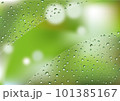 水滴を拭いた窓ガラス 101385167