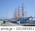海王丸パークの風景 101385851
