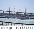 海王丸パークの風景 101385854