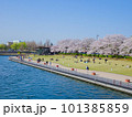 桜満開の富岩運河環水公園の風景 101385859