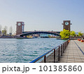 富岩運河環水公園の天門橋を望む風景 101385860