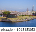 桜満開の富岩運河環水公園の風景 101385862