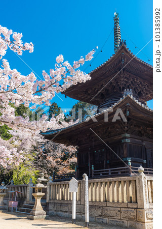 春の青空に映える瑜伽山蓮台寺多宝塔と桜 春の青空に映える瑜伽山蓮台寺多宝塔と桜 101385992