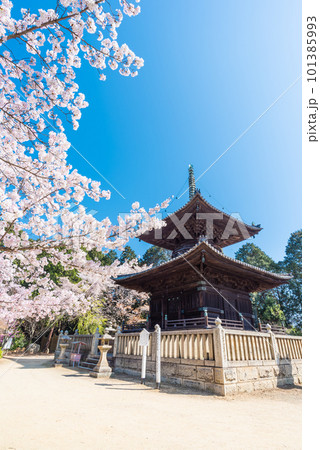 春の青空に映える瑜伽山蓮台寺多宝塔と桜 春の青空に映える瑜伽山蓮台寺多宝塔と桜 101385993