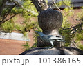 海上に立つ大鳥居 101386165