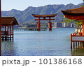 海上に立つ大鳥居 101386168