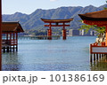 海上に立つ大鳥居 101386169