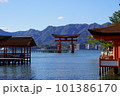 海上に立つ大鳥居 101386170