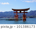 海上に立つ大鳥居 101386173
