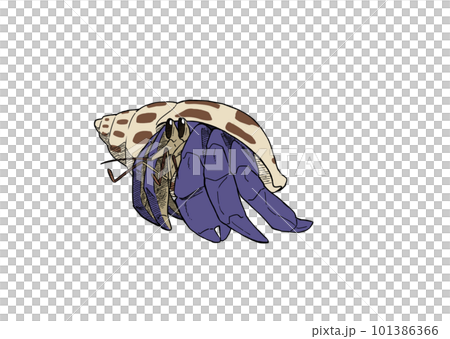 寄居蟹在大象 1 寄居蟹在大象 1 101386366