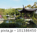 真夏の紫陽花と池 101386450