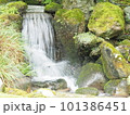 小さな滝 101386451