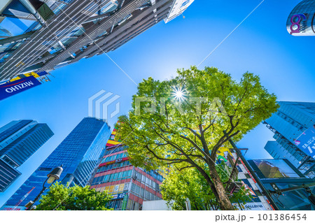 日本の東京都市景観 紫外線に注意…太陽と新緑が“眩しい”季節になった渋谷＝4月9日 101386454