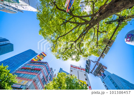 日本の東京都市景観 紫外線に注意…太陽と新緑が“眩しい”季節になった渋谷=4月9日 日本の東京都市景観 紫外線に注意…太陽と新緑が“眩しい”季節になった渋谷=4月9日 101386457