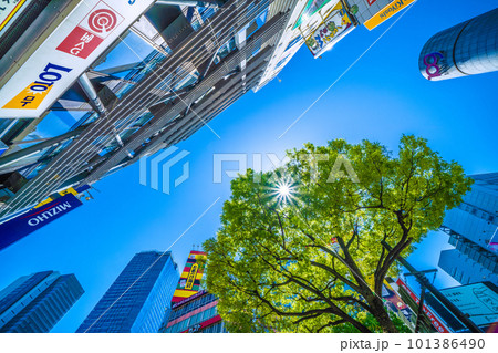 日本の東京都市景観 紫外線に注意…太陽と新緑が“眩しい”季節になった渋谷=4月9日 日本の東京都市景観 紫外線に注意…太陽と新緑が“眩しい”季節になった渋谷=4月9日 101386490