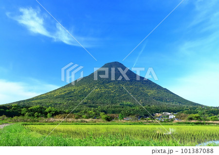 【鹿児島県】薩摩の新緑な開聞岳（薩摩富士） 101387088