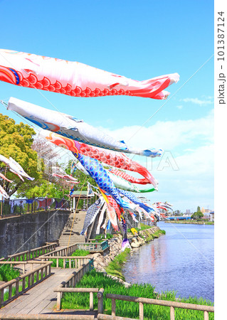 蟹江町、佐屋川創郷公園とこいのぼりの風景 101387124