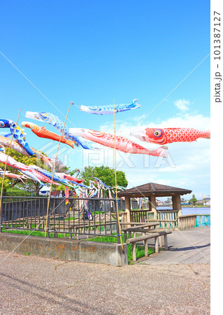 蟹江町、佐屋川創郷公園とこいのぼりの風景 101387127